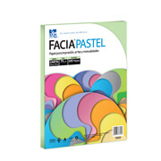 Papel Facia Pastel carta color verde 75gr
